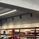 이엑스 복싱(EX BOXING) 이미지