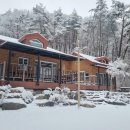 금원산 자연휴양림 이미지