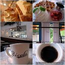 압구정 세시세라 이미지