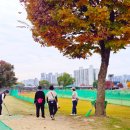 태평파크 이미지