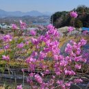 운심농장 이미지