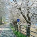 소양강자전거길 이미지