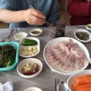 돌산아나고 이미지