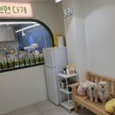 예쁘면 다개 이미지