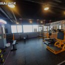 Natural Box 이미지