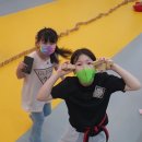 사파동262 이미지