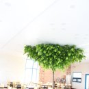 와이파이브콘도 이미지