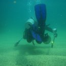 푸른축산 이미지