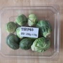 봉정농장 | 올팜 방울양배추 수확 후기 / 방울양배추 시식 후기