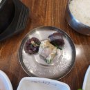 소문난돼지국밥 | 포항 북구 국밥추천 안동소문난국밥 소머리곰탕 순대국밥 후기
