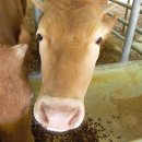 한이농장 이미지