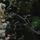 참사랑 - 김제시 | 참사랑