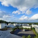 제주대지공인중개사사무소 이미지