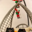 아로하스토리 이미지