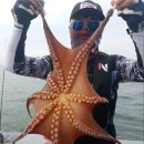 오늘도 여수 이미지