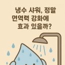 미주 여성사우나 | 냉수 샤워, 정말 면역력 강화에 효과 있을까?