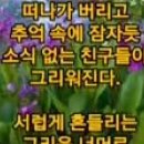 ﻿지난세월의 쟁쟁했던 배우들의 그리운 모습 외 8건 [석산 남인희화백님의 카톡에서] 이미지