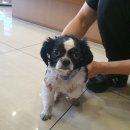 송내대로 이미지