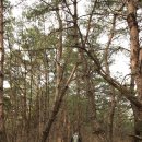 장흥리경로당 이미지