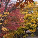 인천향교 앞 비석군 이미지