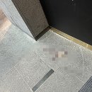 순천향의원 이미지