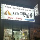 사하펫 네이버블로그