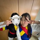 쎄려언니 이미지