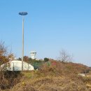 황새둥지 이미지