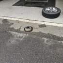 현대자동차 함열점 이미지