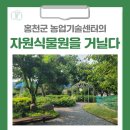 홍천군농업기술센터 | [홍천 가볼만한곳] 홍천군 농업기술센터의 자원식물원을 거닐다