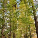 평화레저타운 이미지