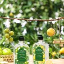 애경농장 이미지