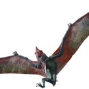 프테라노돈 이미지