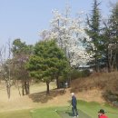 일산스프링힐스 컨트리클럽 이미지