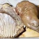 명품염소농장 이미지