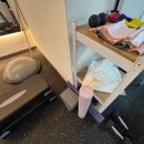 바디플렉스짐 | [염창역헬스장] 바디플렉스짐 염창역점 "센터시설" 안내