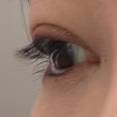 매무새크리닉 | 대구 두류동 속눈썹 펌 전문점 공드린뷰티에서 깔끔하게 올린 속눈썹 후기