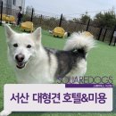 스퀘어독스 서산점 이미지