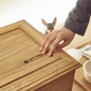 21그램 반려동물장례식장 이미지