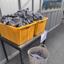 신대신카서비스세차장 | 천안 세차장 데이트 💦 노터치 자동세차 + 구독형 세차 후기