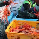 아리별마을 이미지