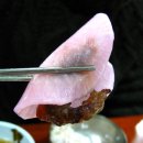 청송갈비 이미지