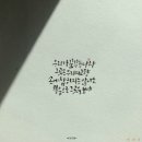 콩나라 이미지