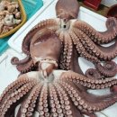 수 농수산 이미지