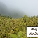 선화농장3 네이버블로그