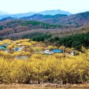 도장중 앞 이미지