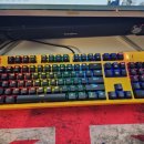 놀피시방 이미지