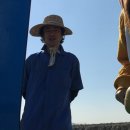 춤추는산오징어 - 해남군 구교2길 28 | 춤추는산오징어
