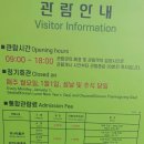 강화도 가볼만한 곳 강화 고인돌 유적지 옆 강화 자연사 박물관 향유고래 전시 등 후기