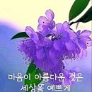 아름다운날 - 전주시 완산구 | 아름다운날